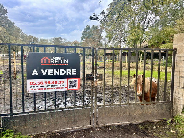 Achat Terrain Blanquefort
