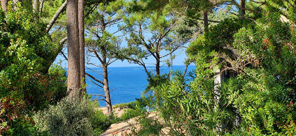 Achat Maison 7 pièces Pyla Sur Mer 5 chambres
