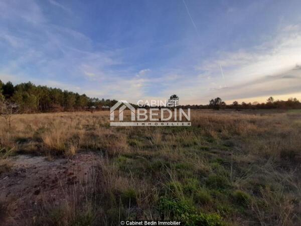 Achat Terrain Gujan Mestras