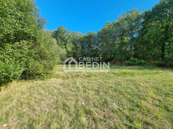 Achat Terrain constructible Le Teich