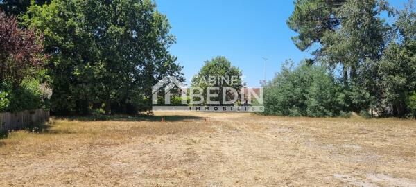 Vente Terrain constructible Biscarrosse