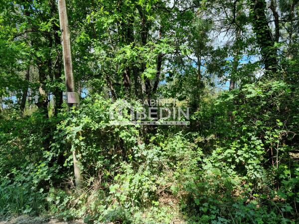 Vente Terrain Biganos