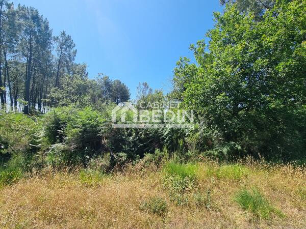 Vente Terrain Biganos