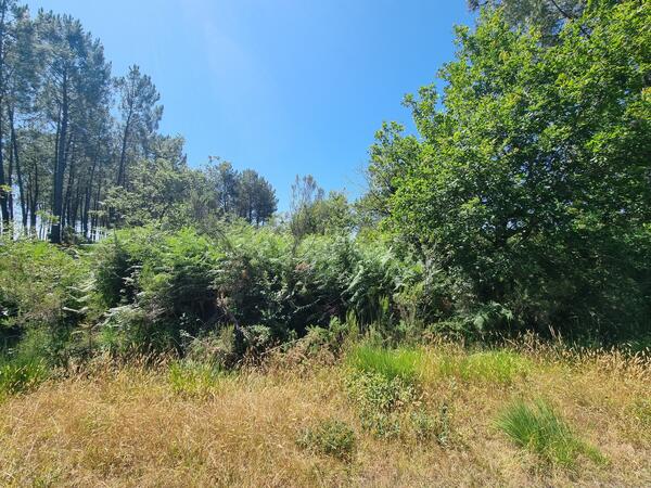 Acheter Terrain Biganos