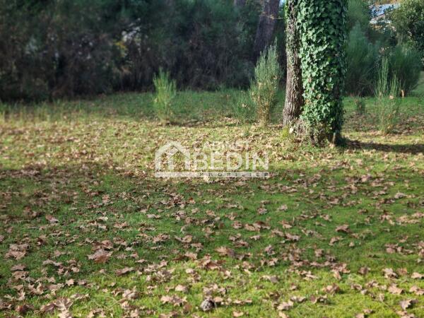 Achat Terrain constructible Biganos