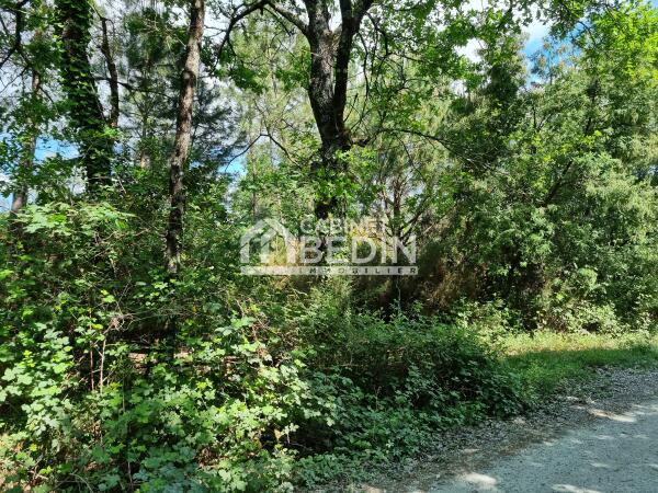 Vente Terrain Audenge