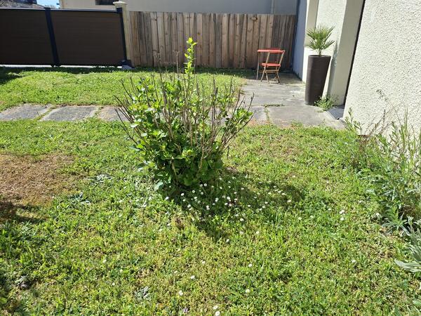 Achat Maison 5 pieces Biganos 3 chambres