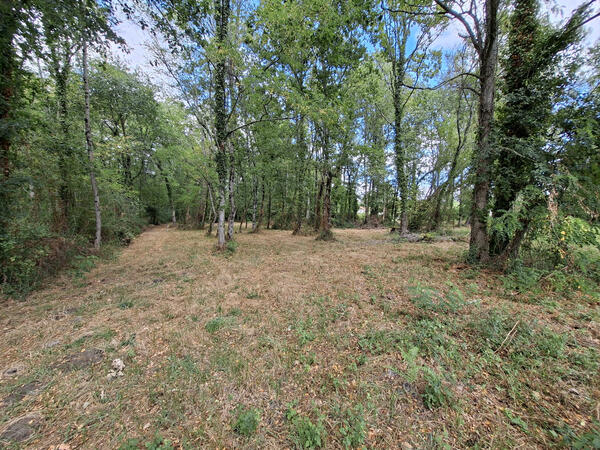 Vente Terrain A BATIR Leogeats