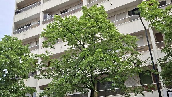 Achat Appartement 1 piece Bordeaux 1 chambre