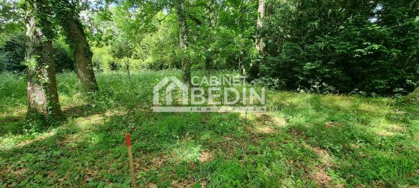 Achat Terrain A BATIR Leognan