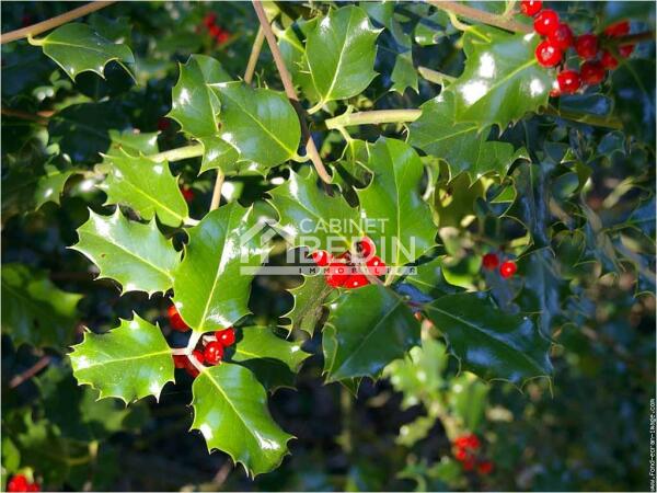 Vente Maison T3 Ares 2 chambres