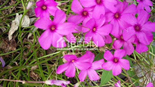 Achat Terrain A BATIR Le Porge