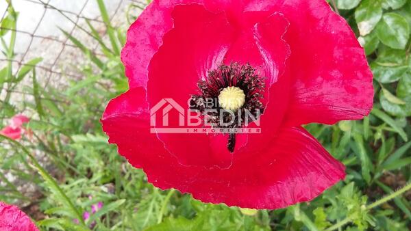 acheter Terrain A BATIR Le Porge