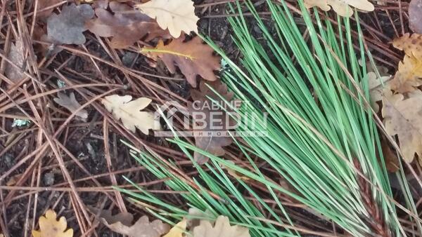 Achat Terrain A BATIR Le Porge