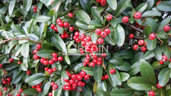 Vente Terrain A BATIR Le Porge