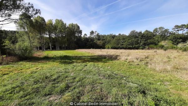 Achat Terrain constructible Coutras