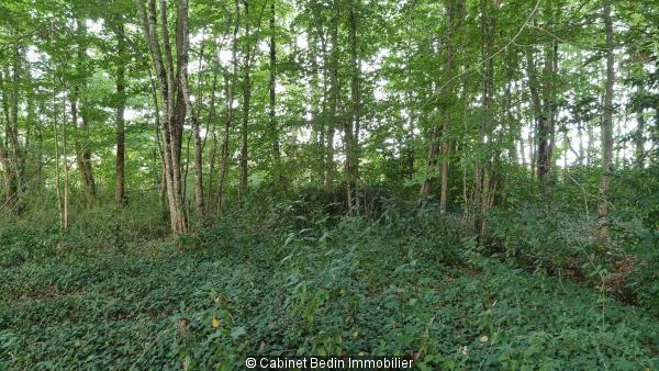 Vente Terrain Camiac Et St Denis