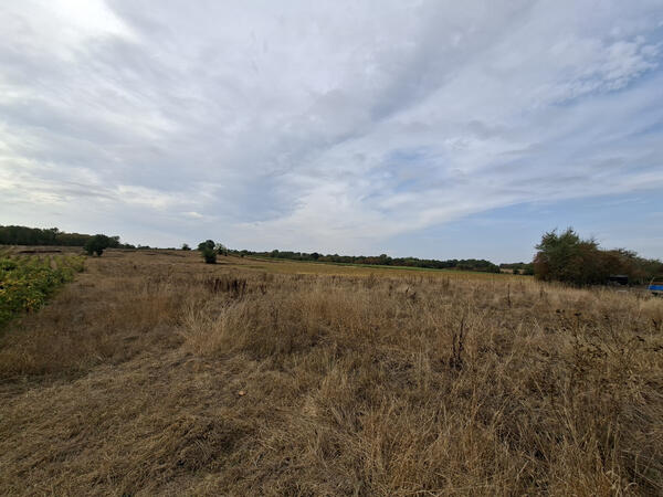 Achat Terrain constructible Baigneaux