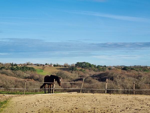 Achat Garage Ossages