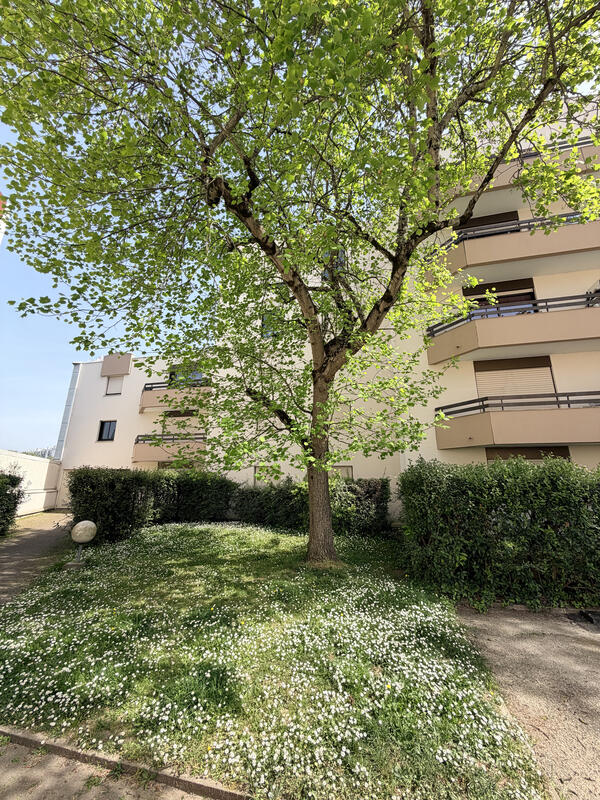 Achat Appartement 2 pieces Le Bouscat 1 chambre