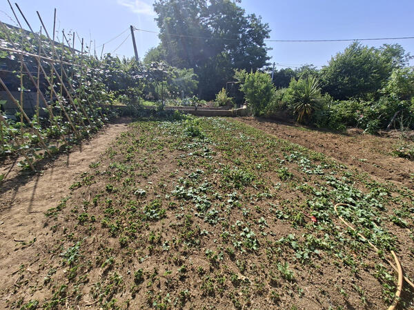 Immeuble et terrain à batir +1400M²