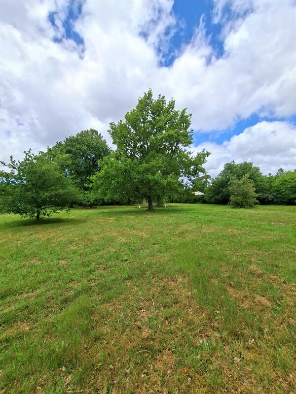 Achat Terrain constructible Lege Cap Ferret