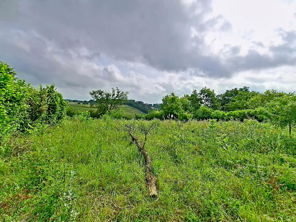 Achat Terrain constructible Prunet