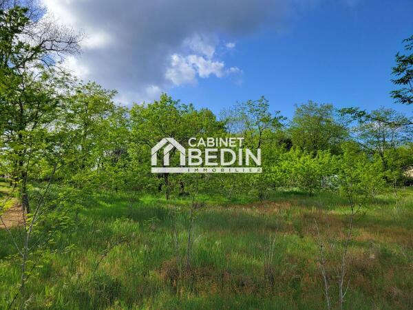 Achat Terrain A BATIR Sanguinet