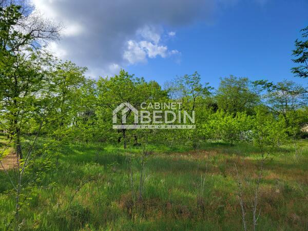 Vente Terrain A BATIR Belin Beliet