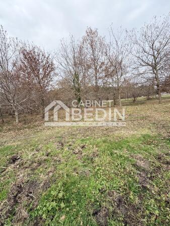 Vente Terrain Aureilhan